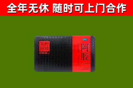 松阳回收阿胶