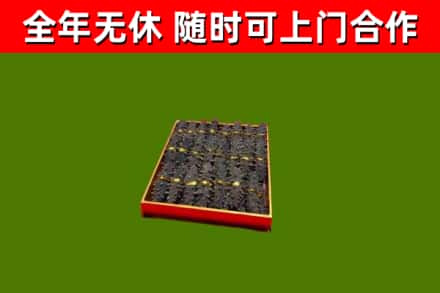 松阳回收海参